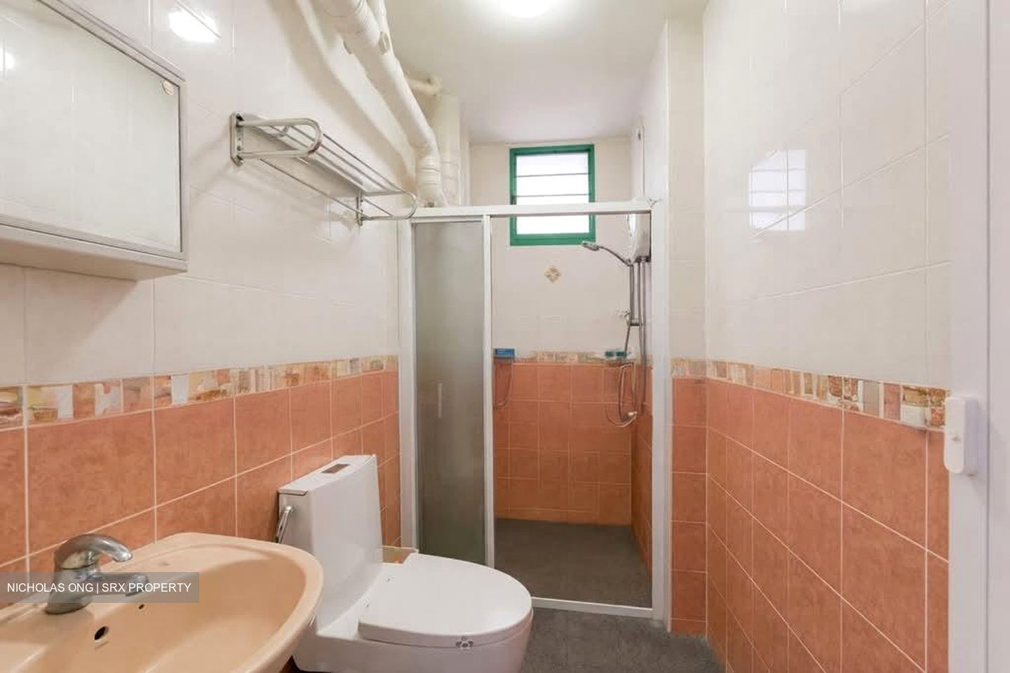 Blk 484 Segar Gardens (Bukit Panjang), HDB Executive #546657891